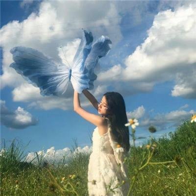 蒲公英的灰尘